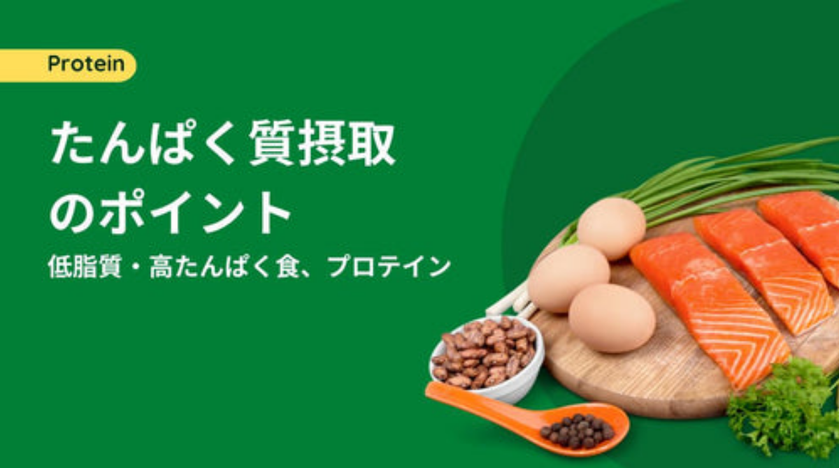 たんぱく質摂取のポイント(低脂質・高たんぱく食品、プロテイン)