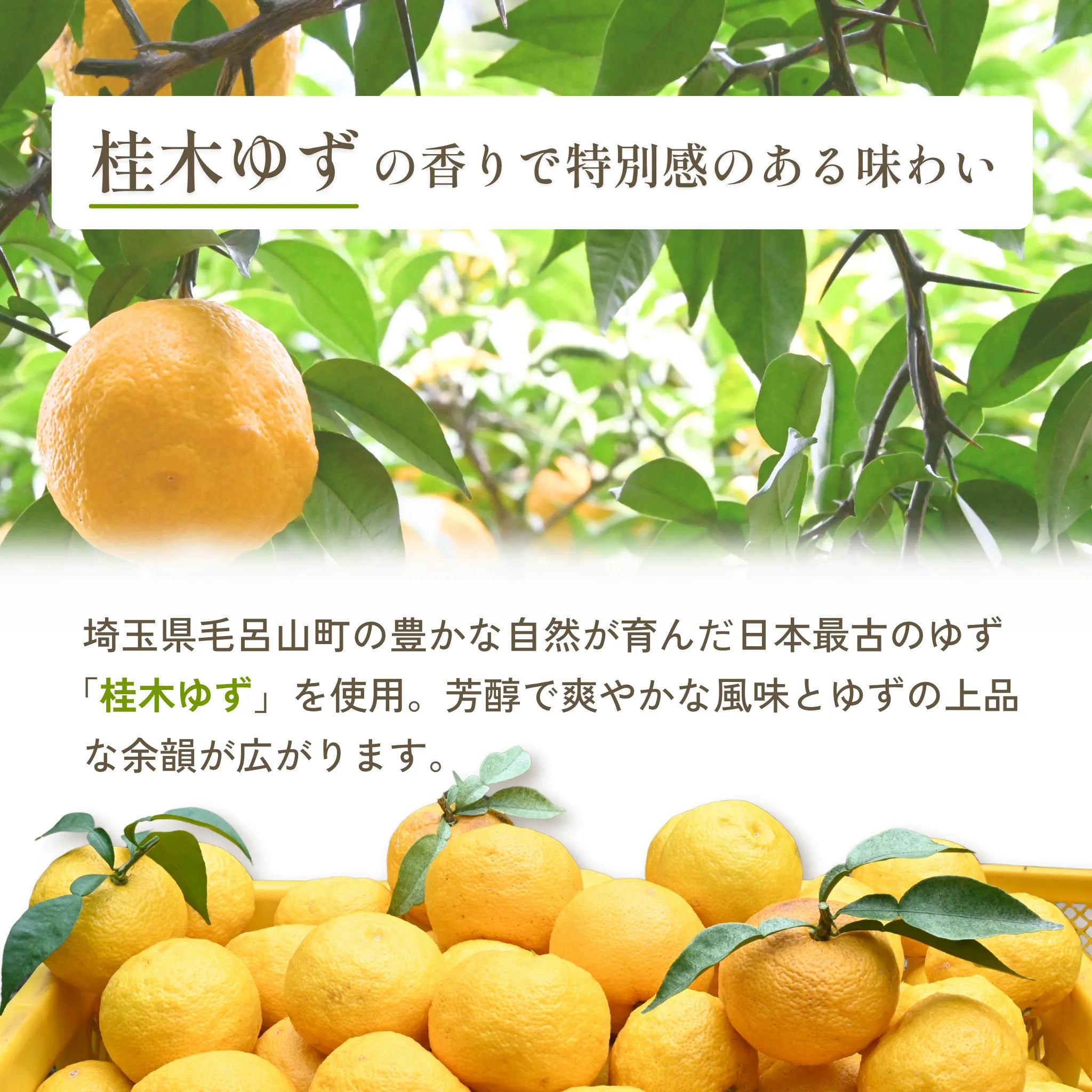 サクリィ(アソート)