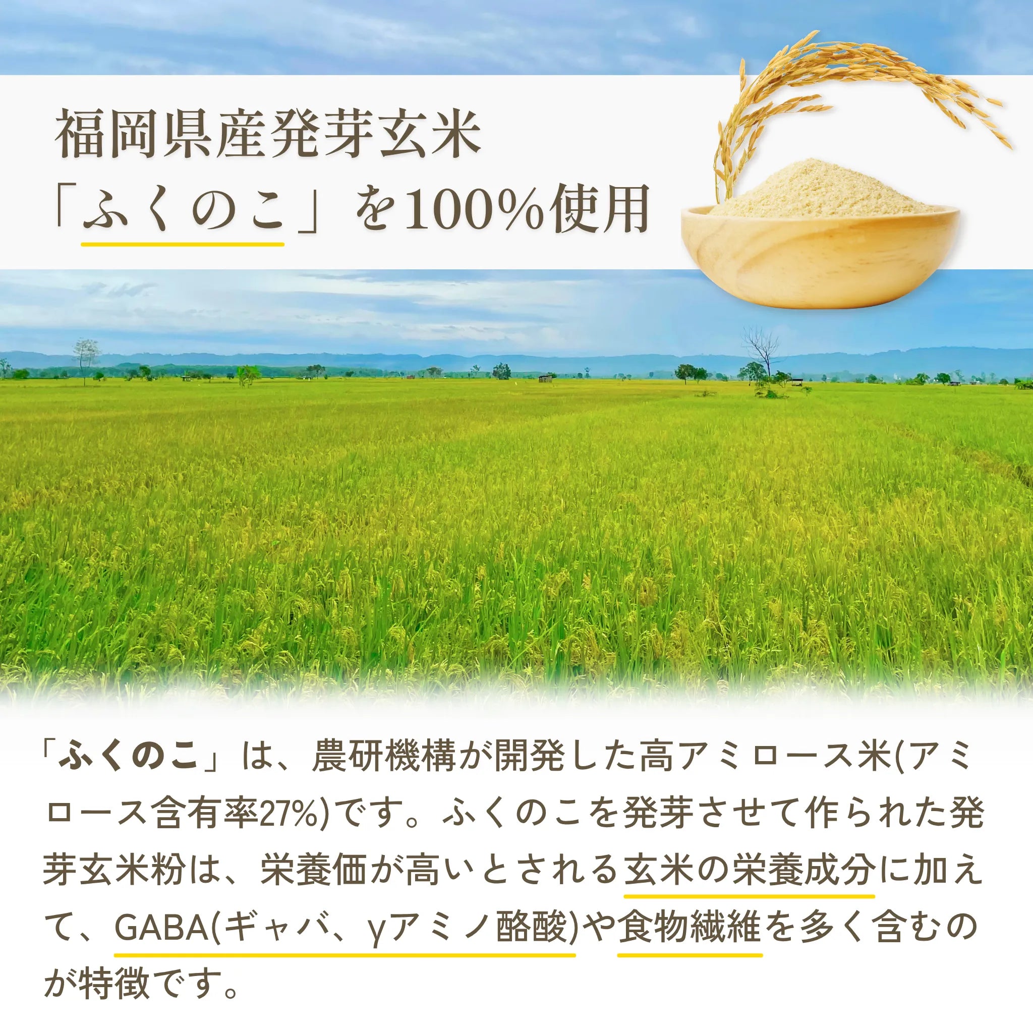 サクリィ(香るゆずのり塩)