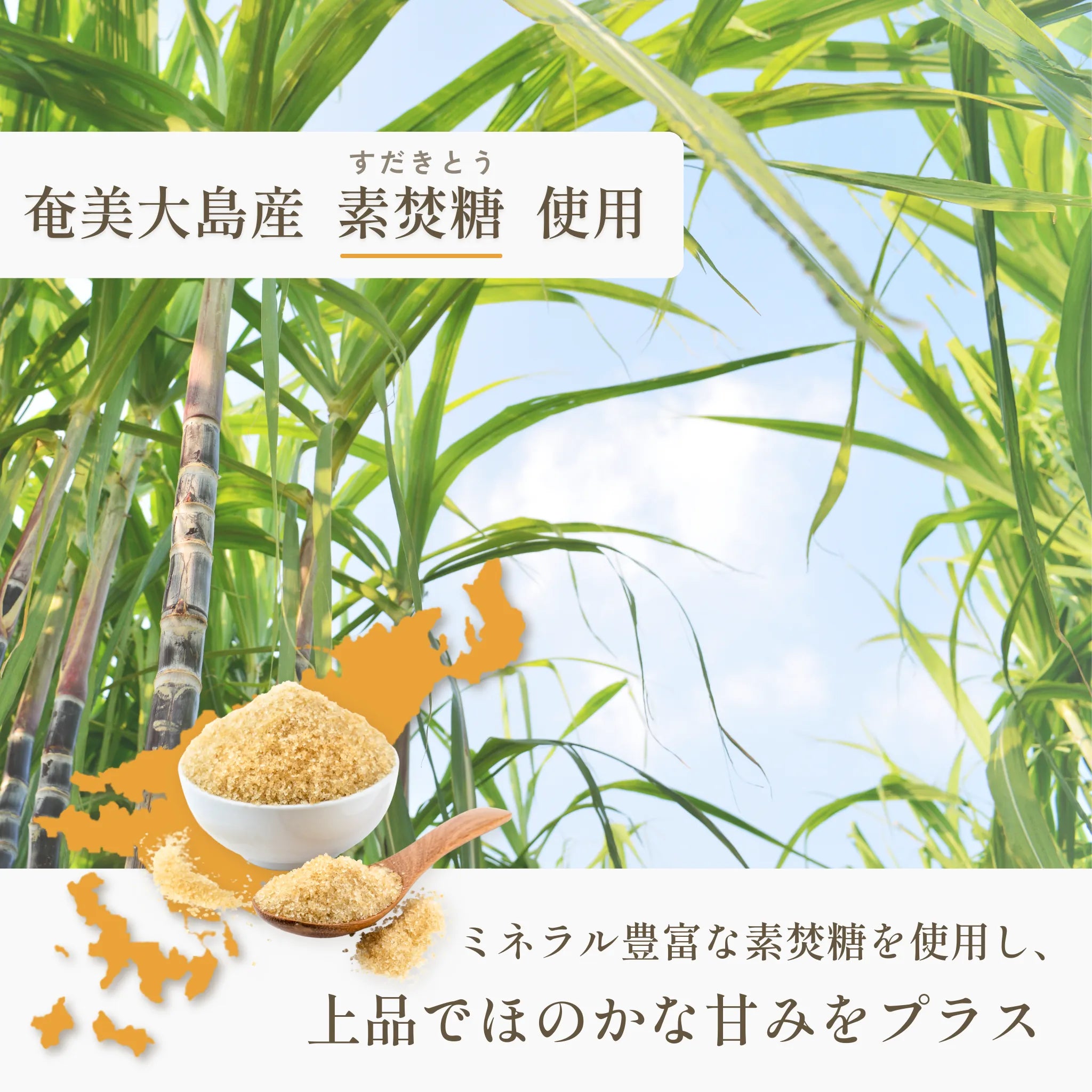 サクリィ(たっぷりカカオ)