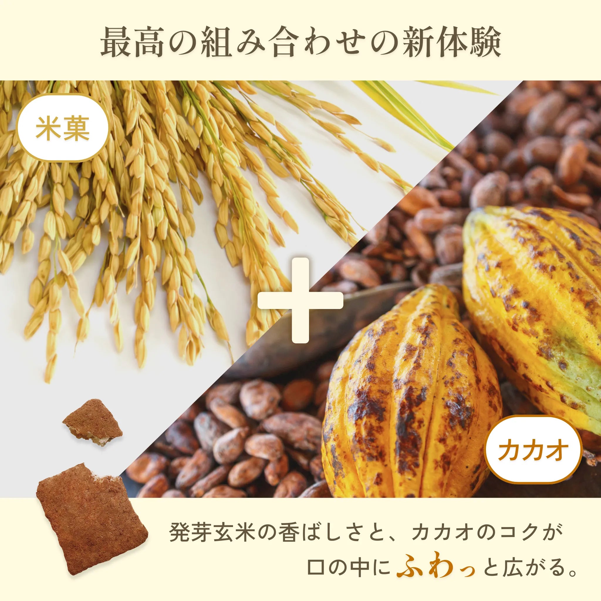 サクリィ(アソート)