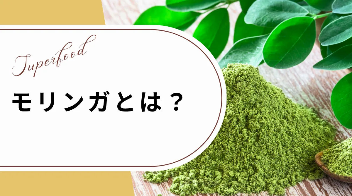 モリンガとは？
